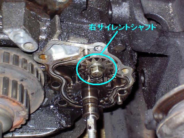 おぉ!こいつか?